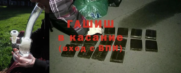 гашик Каменка