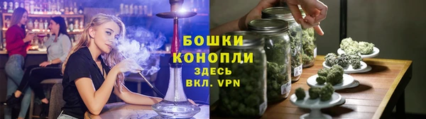 гашик Каменка