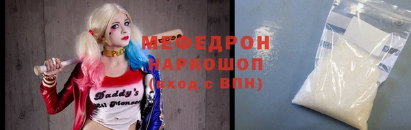 гашик Каменка