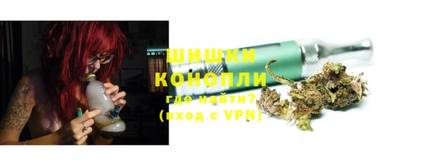 МДПВ Каменногорск