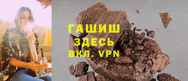 гашик Каменка