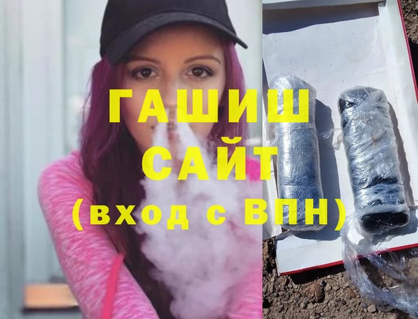 гашик Каменка