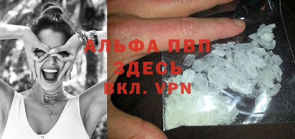 гашик Каменка