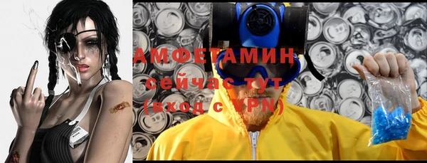 гашик Каменка