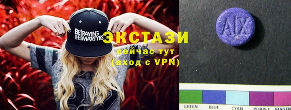 гашик Каменка