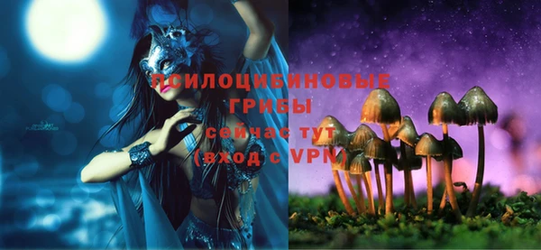 МДПВ Каменногорск