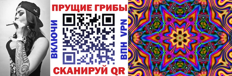 Галлюциногенные грибы мицелий  Купить  Малоархангельск 